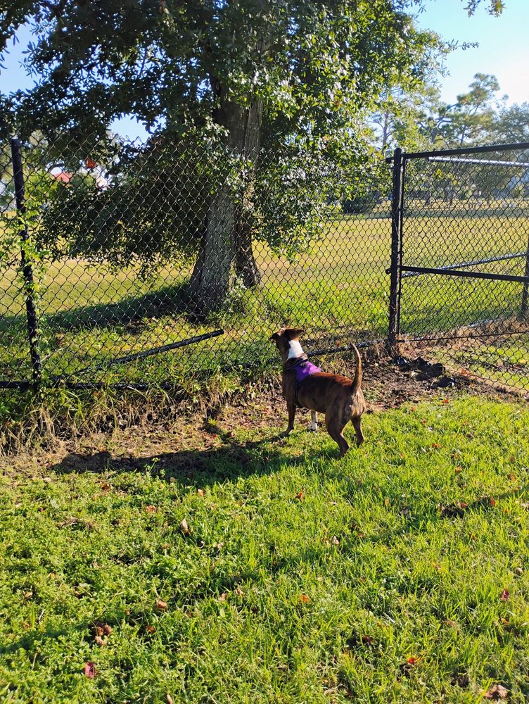 Al Helms Dog Park Logo