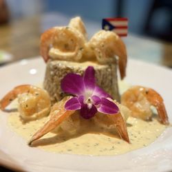 El Criollo Restaurant - Mofongo Relleno Shrimp salsa criolla