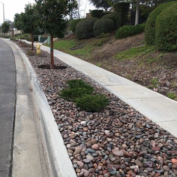 Cris Castro Landscape Maintenance - Parkway after - Landscaping Near Me - Oceanside, California Cris Castro Landscape Maintenance - Parkway after - Landscaping Near Me - Oceanside, California
