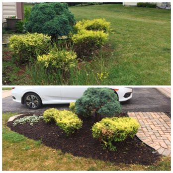 American Artists Landscaping - Bedding edged, weeds pulled, shrubs trimmed, and double ground hardwood mulch installed. - Landscaping Near Me - Geneva, Illinois American Artists Landscaping - Bedding edged, weeds pulled, shrubs trimmed, and double ground hardwood mulch installed. - Landscaping Near Me - Geneva, Illinois