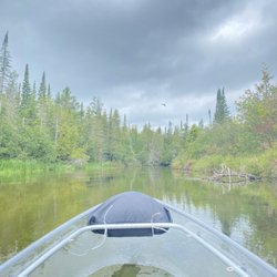Tipsy Canoe Rental & Brew - Kayak trees