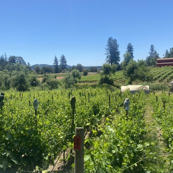 Montoliva Vineyard & Winery - Wineries Near Me - Grass Valley, California Montoliva Vineyard & Winery - Wineries Near Me - Grass Valley, California