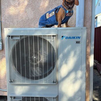 Fuse Service - Millie inspecting the system - Appliances & Repair Near Me - Walnut Creek, California Fuse Service - Millie inspecting the system - Appliances & Repair Near Me - Walnut Creek, California