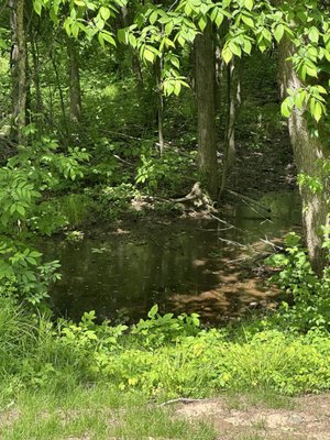 Tap & Bitters by null