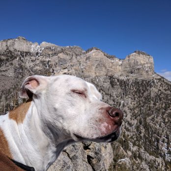 Trail Canyon Trail - Dreamer - Hiking Near Me - Las Vegas, Nevada Trail Canyon Trail - Dreamer - Hiking Near Me - Las Vegas, Nevada