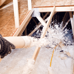 Wild Elements Solutions - Residential and Commercial Foam Spray and Blown Insulation Services