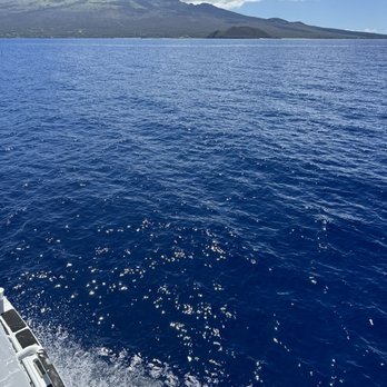 Calypso Charters - Snorkeling Near Me - Wailuku, Hawaii