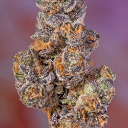 Nug Depot