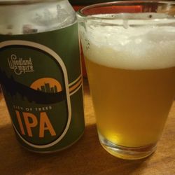 Woodland Empire Ale Craft - City of Trees IPA!