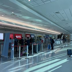 Budget - Looooong line (notice the other companies have NO line)