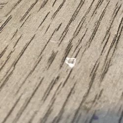 BEWARE:shrimp ceviche-felt something hard-found piece of glass. Told mgr&she said there's no glass in kitchen&wouldn't do anything about it.