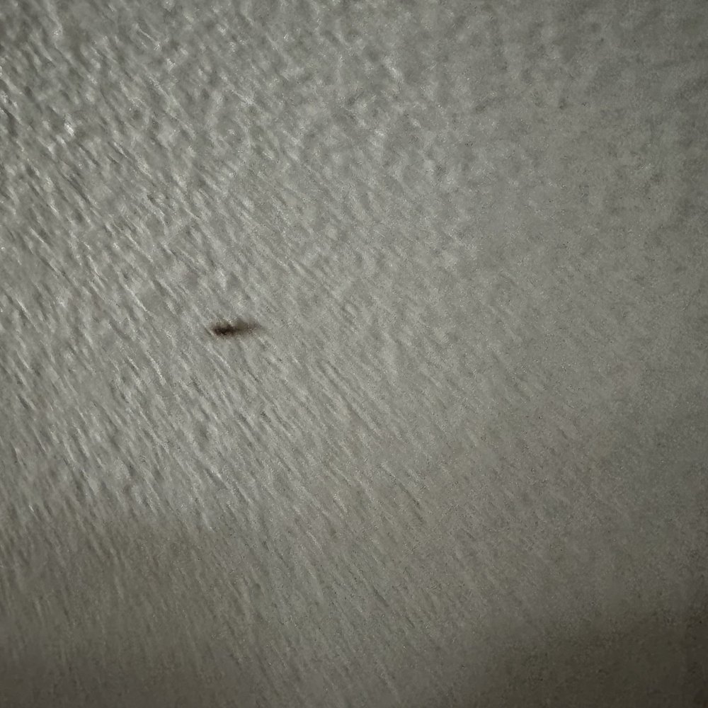 Motel 6 - Roaches - Hotels Near Me - Turlock, California Motel 6 - Roaches - Hotels Near Me - Turlock, California