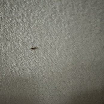 Motel 6 - Roaches - Hotels Near Me - Turlock, California Motel 6 - Roaches - Hotels Near Me - Turlock, California