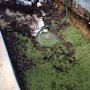 Photo of Watermark Swimming Pool and Spa Services