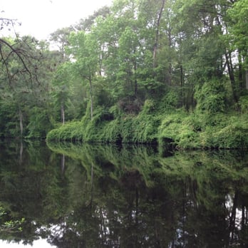 Dismal Swamp Canal Trail - Hiking Near Me - Chesapeake, Virginia Dismal Swamp Canal Trail - Hiking Near Me - Chesapeake, Virginia