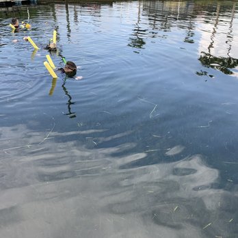 Fun 2 Dive Manatee Tours - Snorkeling Near Me - Crystal River, Florida