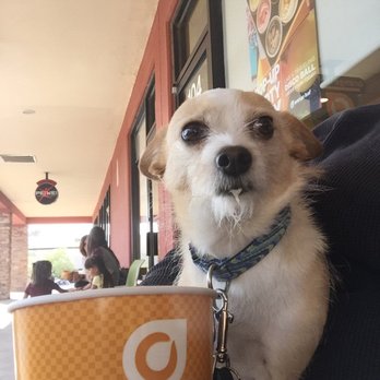 Orange Leaf Frozen Yogurt - Ahhh, nothing like some Orange Leaf after playing at the park! - Desserts Near Me - El Paso, Texas Orange Leaf Frozen Yogurt - Ahhh, nothing like some Orange Leaf after playing at the park! - Desserts Near Me - El Paso, Texas