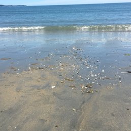It's a good shelling beach