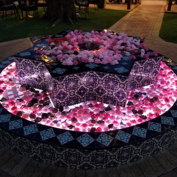 Paradiso - Fountain full of roses... - Bars Near Me - Dallas, Texas