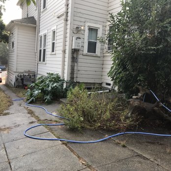 Sixto - a tree that has fallen down and a hose attached to it - Gardeners Near Me Sixto - a tree that has fallen down and a hose attached to it - Gardeners Near Me