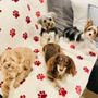 Photo of Pet Nanny Angie