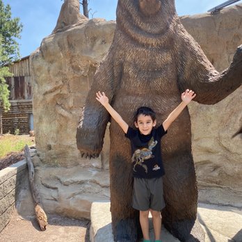 Bearizona - Zoos Near Me - Williams, Arizona Bearizona - Zoos Near Me - Williams, Arizona