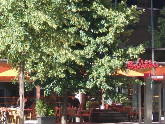 Photo of Billy Wilder's - Berlin, BE, DE. Frontansicht