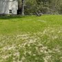 Photo of Velvet Green Organic Lawn Care