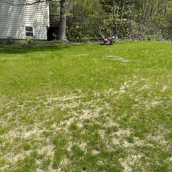 Velvet Green Organic Lawn Care - Photo taken 5/11/2023 - this is how the whole lawn looked; sparse, dry and crabgrass filling in the open spots.