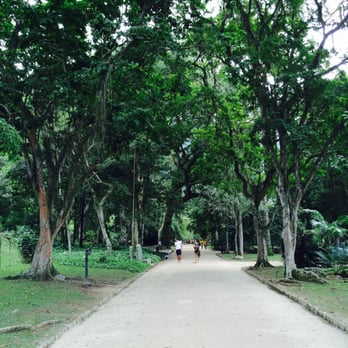 Jardim Botânico - Beautifully manicured pathways - Botanical Gardens Near Me - Rio de Janeiro, RJ