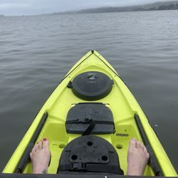Tomales Bay Expeditions