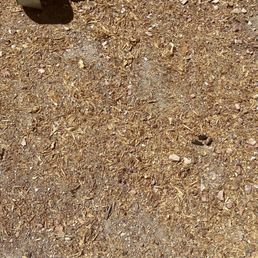 Messy shavings 3-4 mos later Messy shavings 3-4 mos later