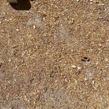 AAA Professional Tree Service - Messy shavings 3-4 mos later - Tree Services Near Me
