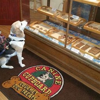 Canine Cupboard - Chloe, a long time customer making her selection.  She visited on 08/31/16. - Pet Stores Near Me - Portsmouth, New Hampshire