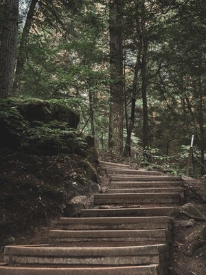 Hocking Hills State Park by null