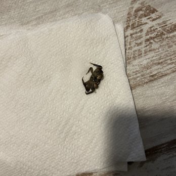 Eventide Apartments - Crab - Apartments Near Me - Beaufort, South Carolina Eventide Apartments - Crab - Apartments Near Me - Beaufort, South Carolina