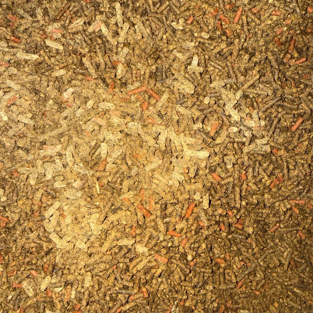Tractor Supply - Wet mold horse feed from Milton FL Tractor Supply. - Department Stores Near Me - Milton, Florida Tractor Supply - Wet mold horse feed from Milton FL Tractor Supply. - Department Stores Near Me - Milton, Florida