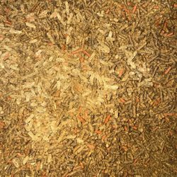 Tractor Supply - Wet mold horse feed from Milton FL Tractor Supply.