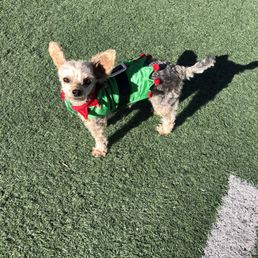 Abby on the Football Fields at All American Park in Las Vegas!
