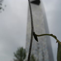 Scandic Victoria Tower