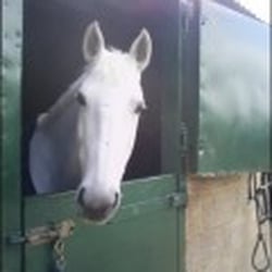 Woodlands Stables