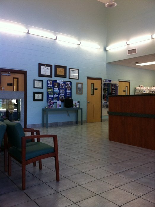 Flagler Animal Hospital Image