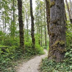 Three Forks Natural Area - Shady walk!
