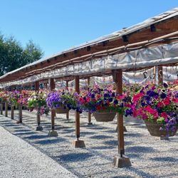 Key's Nursery