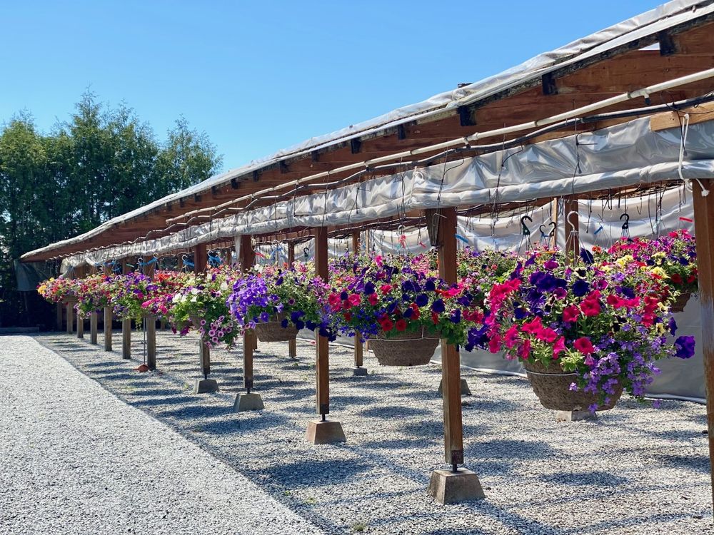 KEY’S NURSERY Updated August 2024 11722 67th Ave NE, Arlington