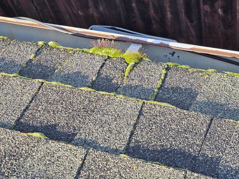 Slide of Triple C Handyman Service