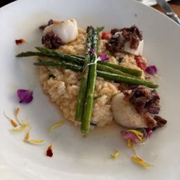 Day Boat Scallops Day Boat Scallops