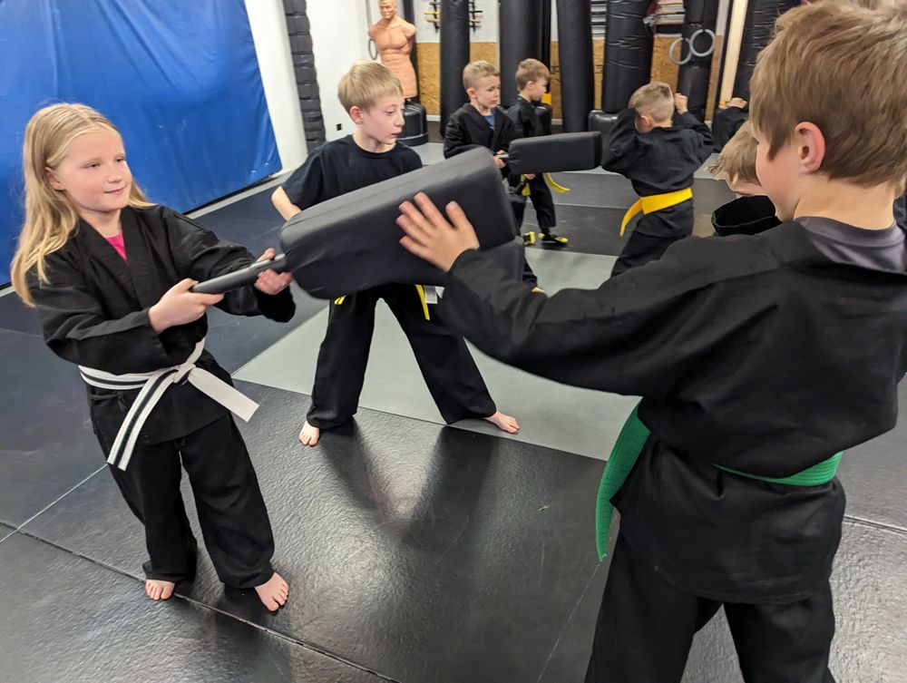 Synergy Martial Arts & Fitness Logo