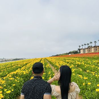 The Flower Fields - Venues & Event Spaces Near Me - Carlsbad, California The Flower Fields - Venues & Event Spaces Near Me - Carlsbad, California