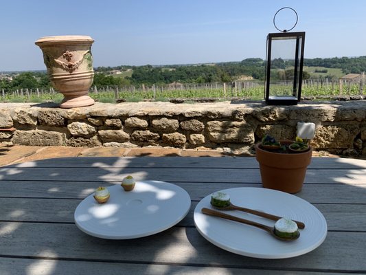 Château Troplong Mondot by null